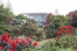 03Jun2015120656manukau Gardens.jpg